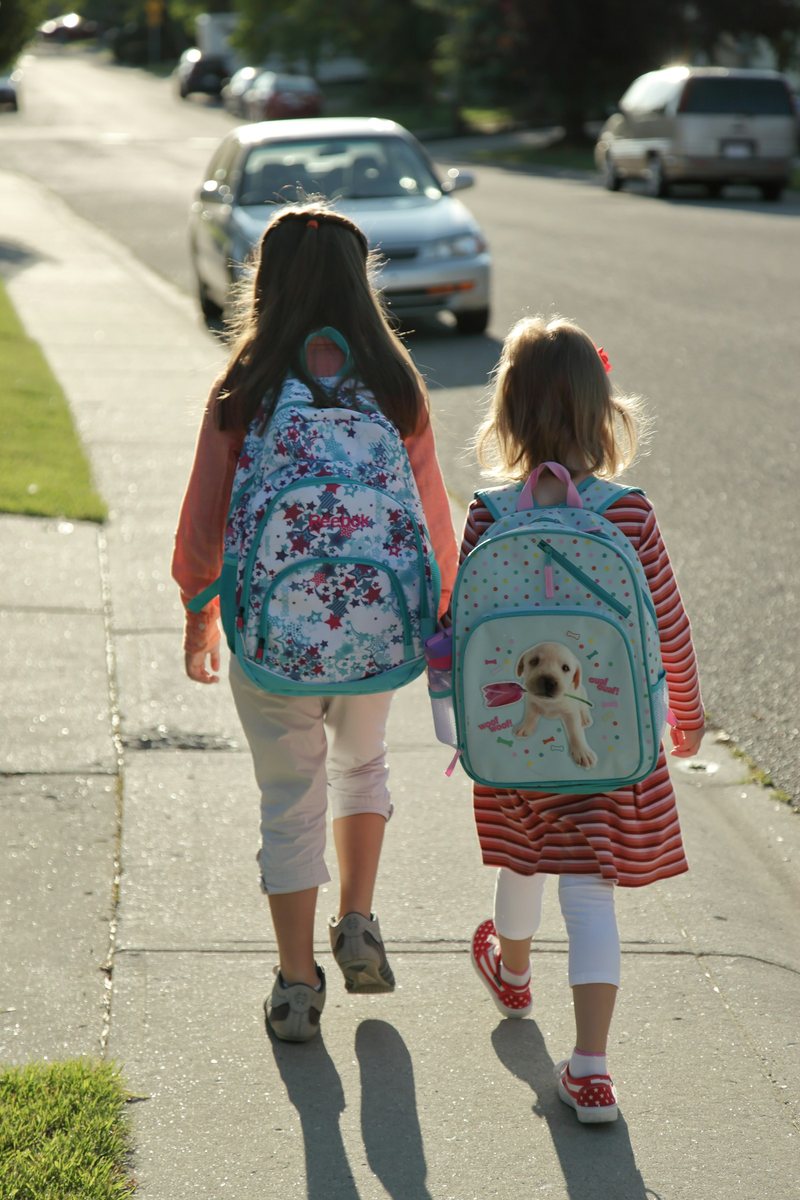 Due ragazzi di spalle, con lo zaino, camminano verso scuola in una mattina di sole